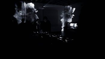 FiliakMiami_Edit (1)