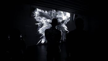 FiliakMiami_Edit (6)